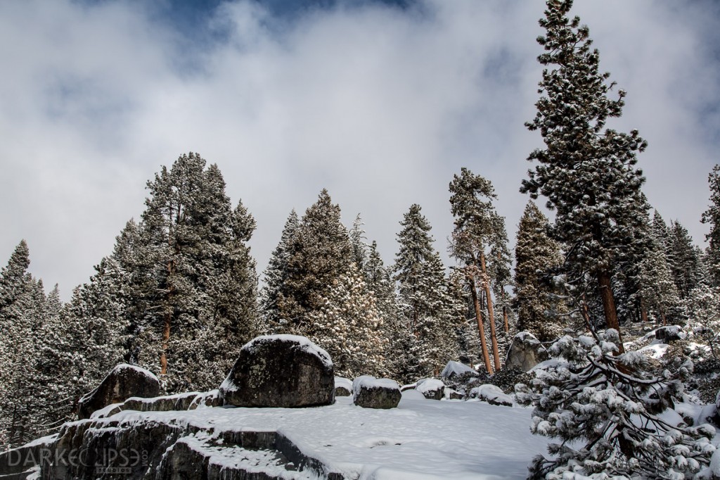 SEQUOIA NATIONAL PARK MORNING SNOW-7888