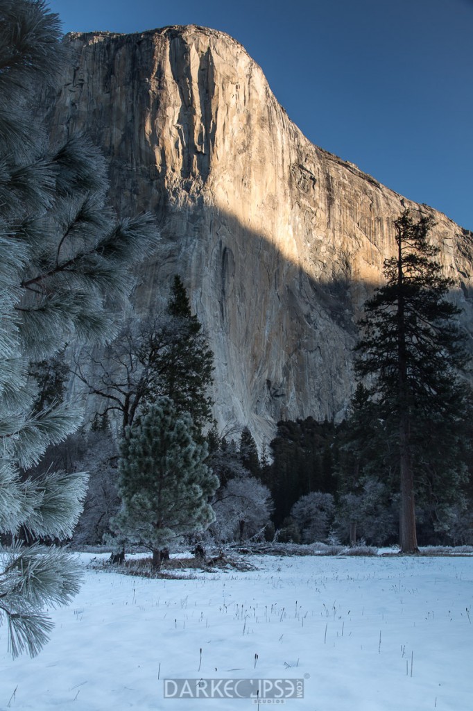 YOSEMITE NATIONAL PARK - SUNRISE EL CAPITAN-8658