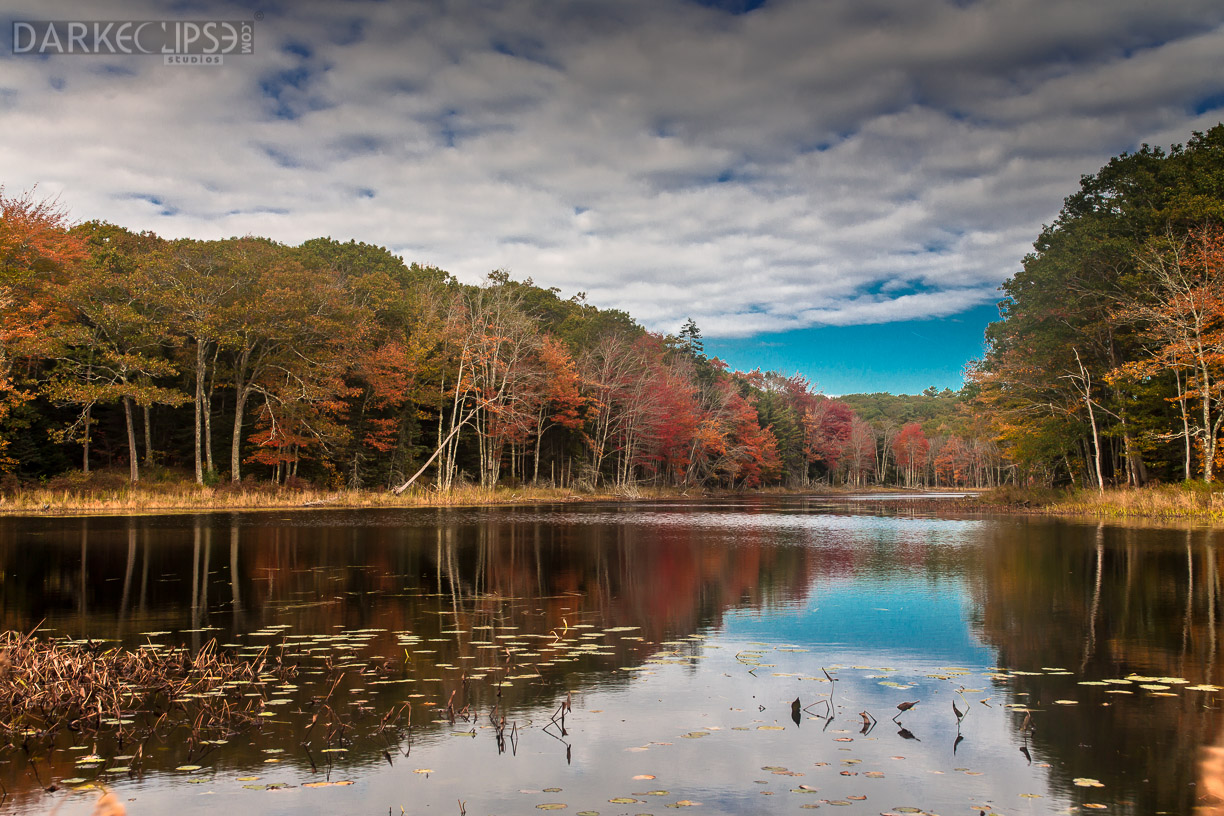 MAINE FALL COLORS 1013-9703