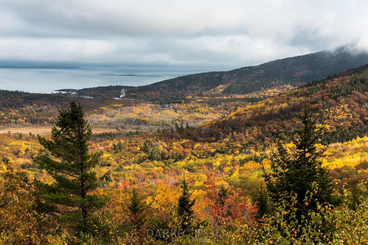 MAINE FALL COLORS 1017 -0494