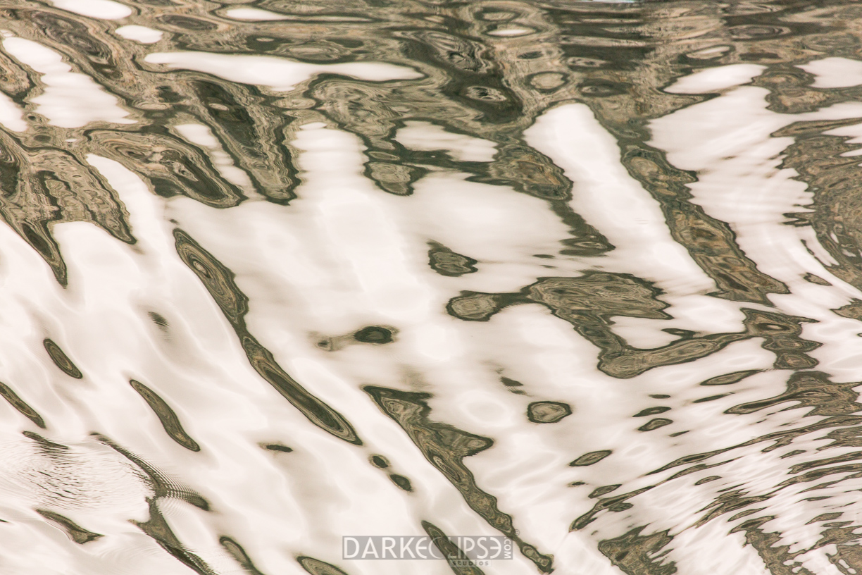 08312014 Glacier Bay Boat Cruise-5222