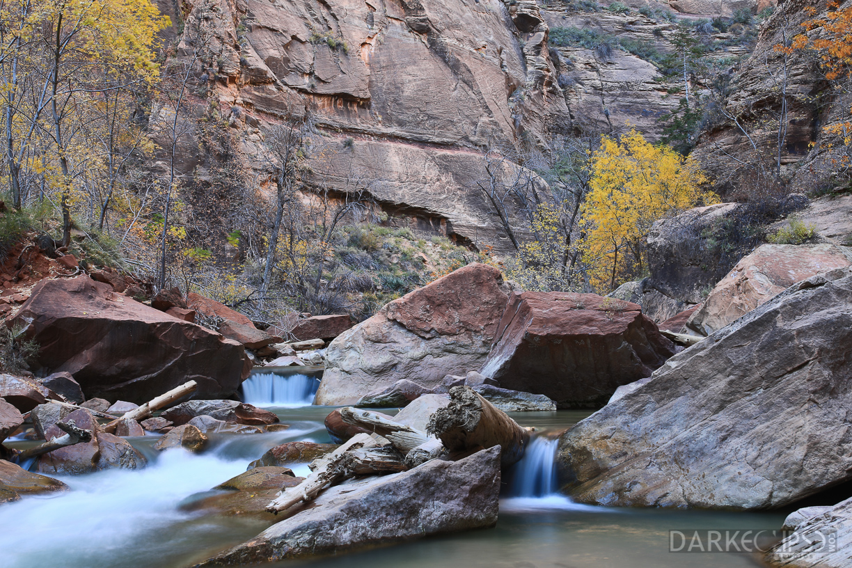 11132014 - Zion River walk b-2496