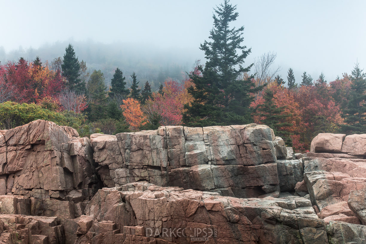 MAINE FALL COLORS 1017 -0628