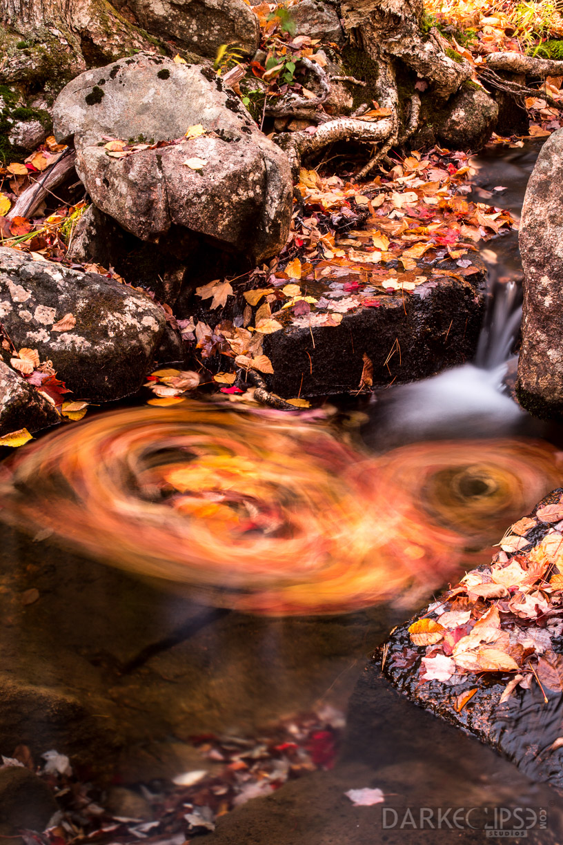 MAINE FALL COLORS 1019 -1105