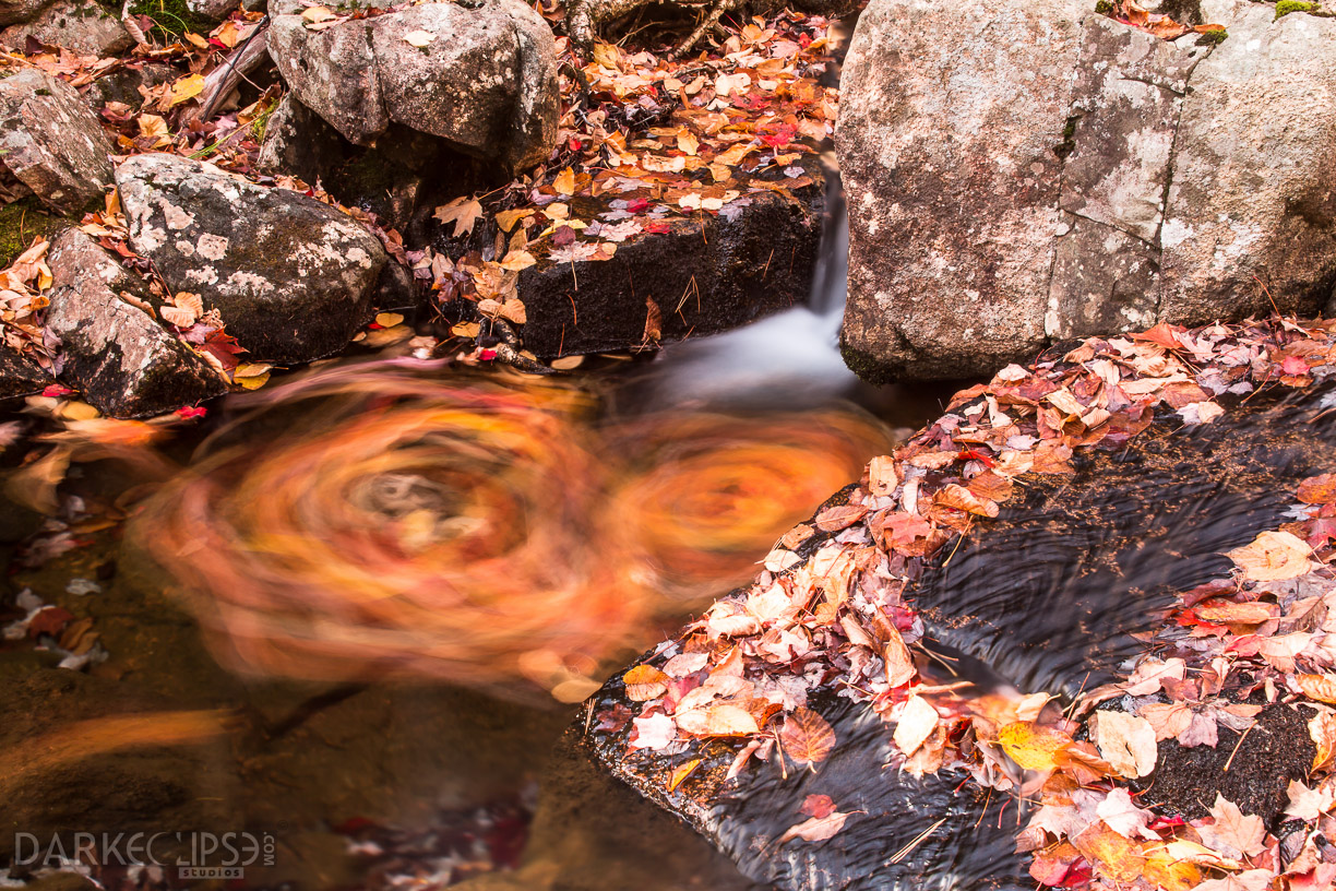 MAINE FALL COLORS 1019 -1107