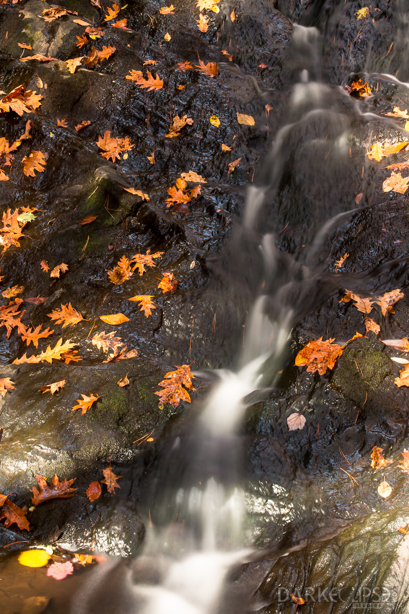 MAINE FALL COLORS 1021 -1444