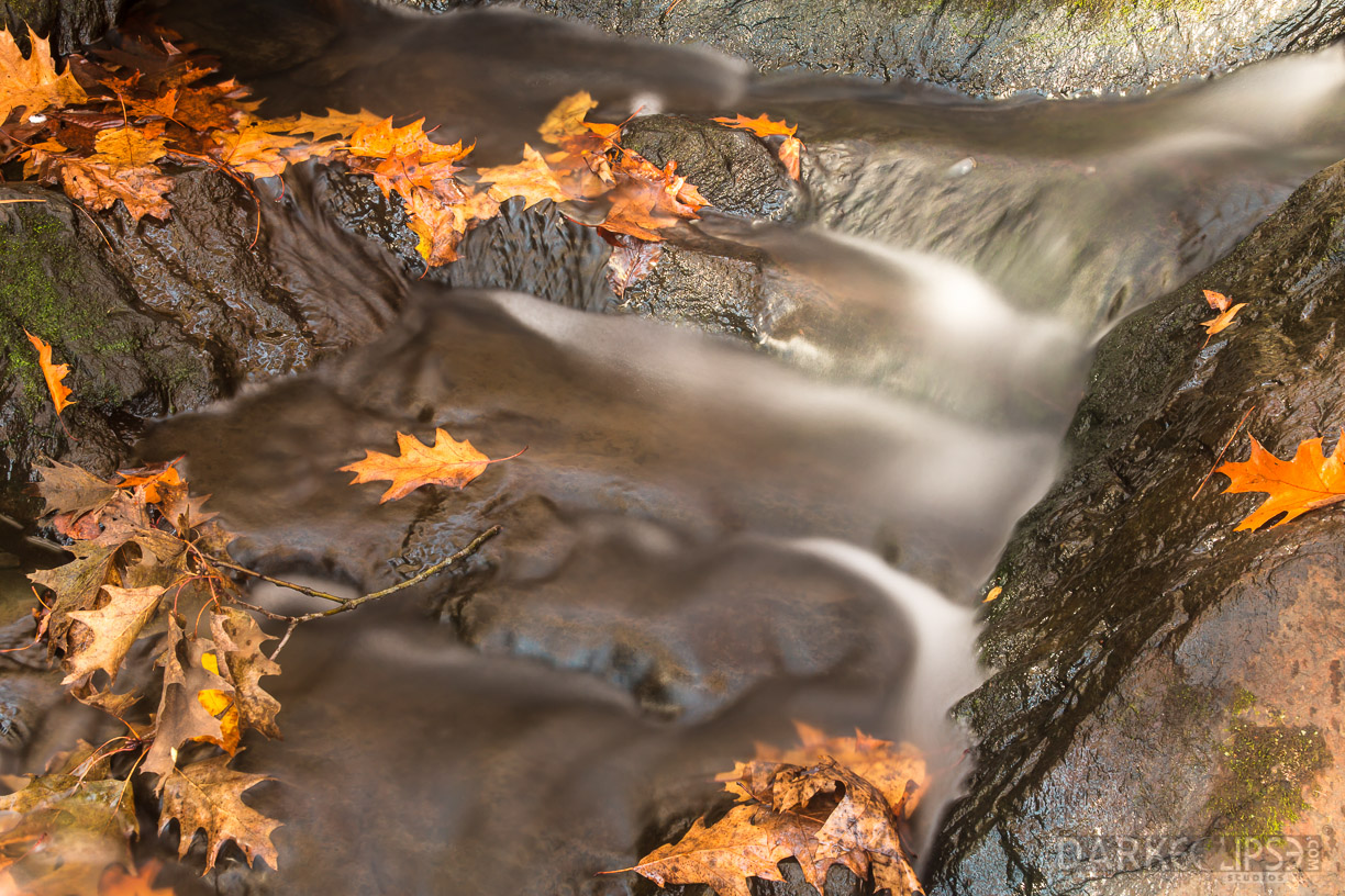 MAINE FALL COLORS 1021 -1463